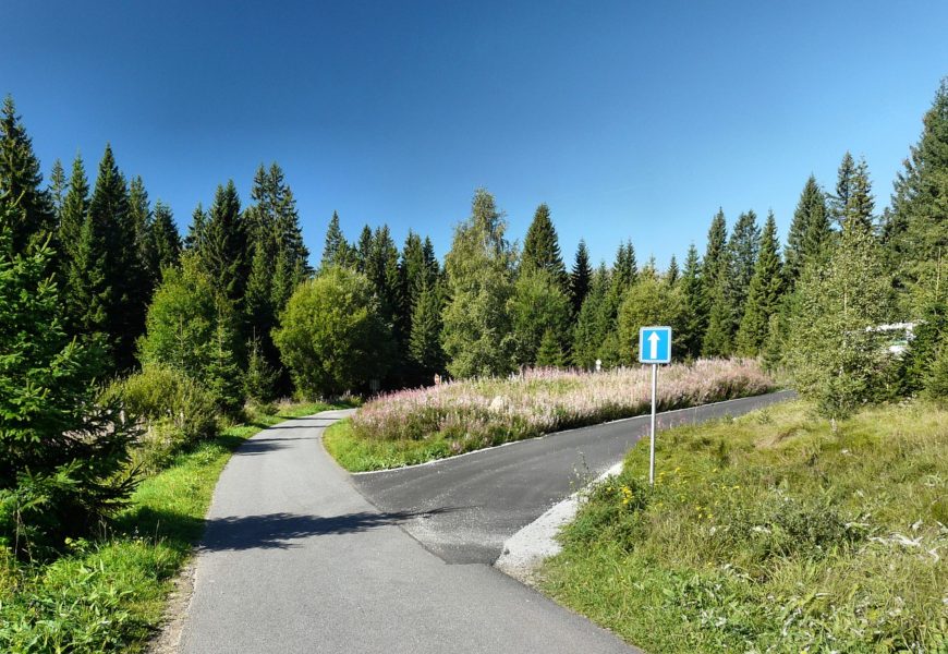 Za výlety na Šumavu